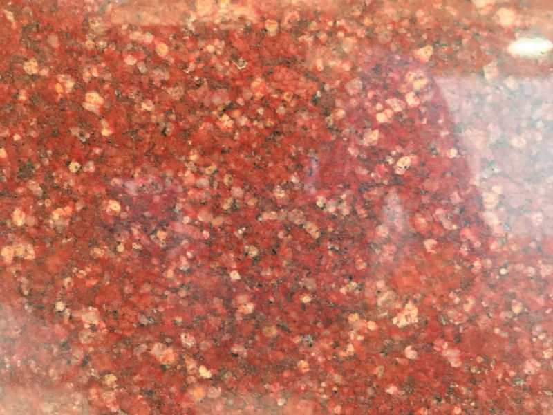 SK-Red.jpeg